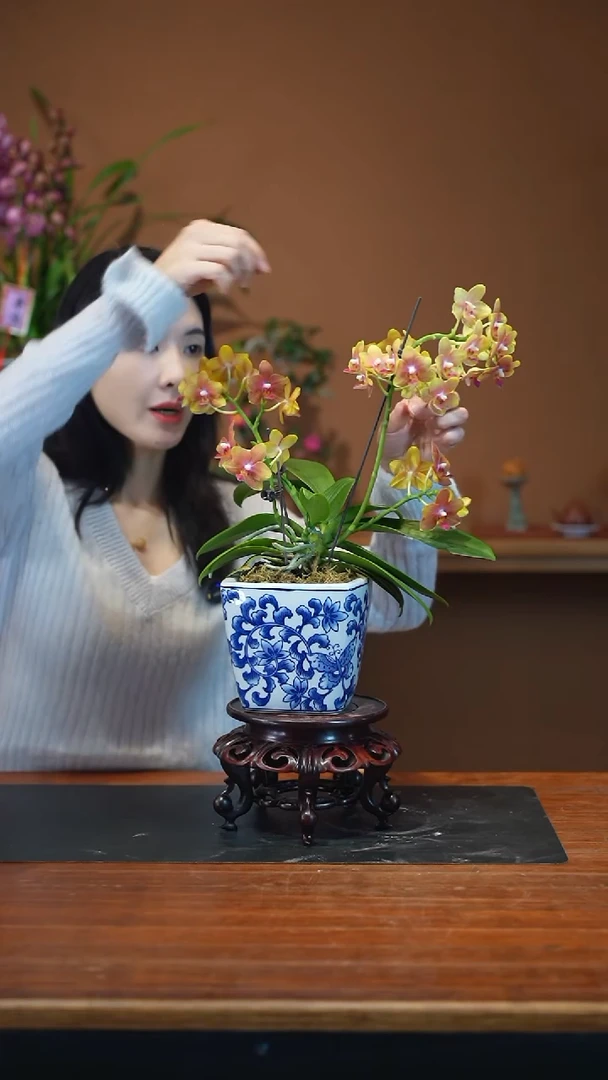 全部花朵橘子汽水