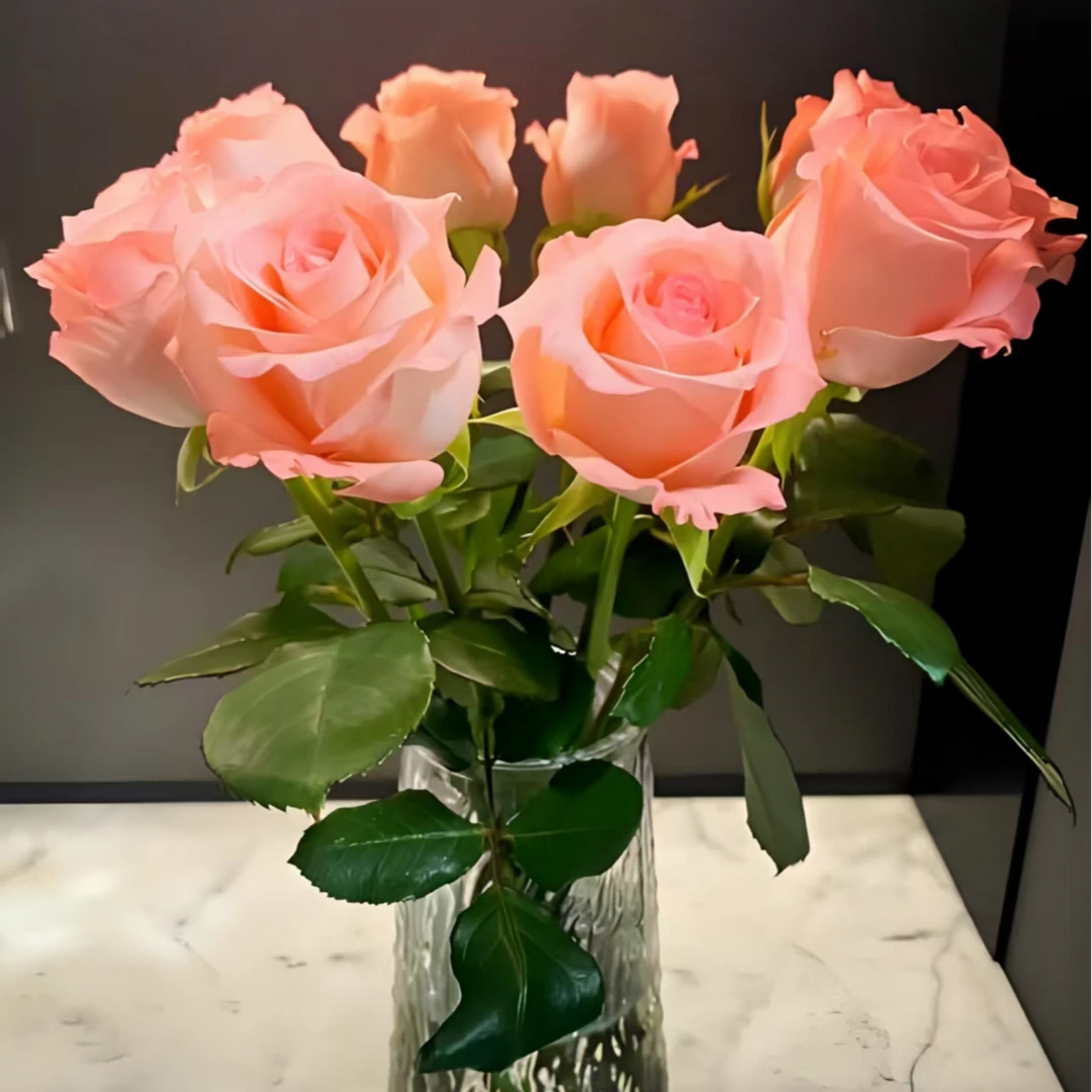 『戴安娜玫瑰』单头玫瑰 10支次日达