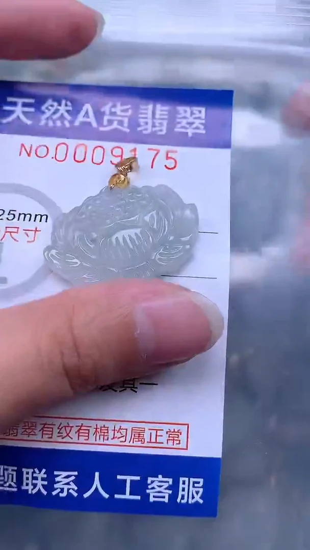 翡翠未镶嵌吊坠(不含链)1