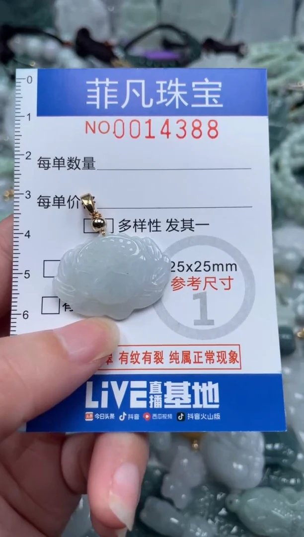颈饰未镶嵌翡翠14388