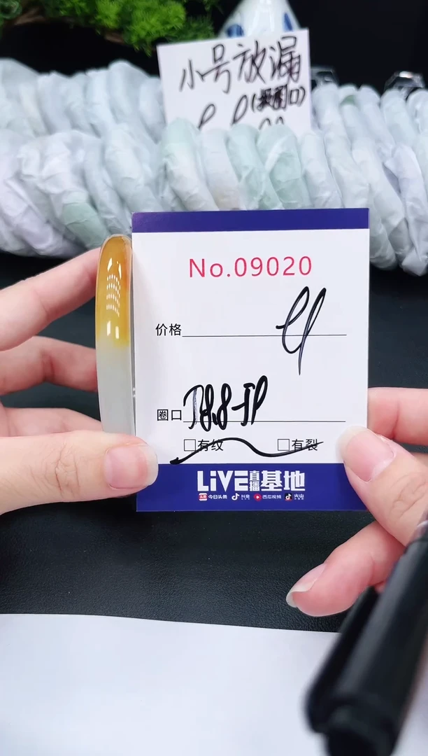 未镶嵌手镯翡翠9020