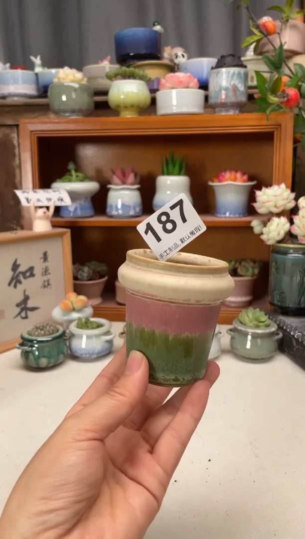 瓷片187知木小芳花盆编号