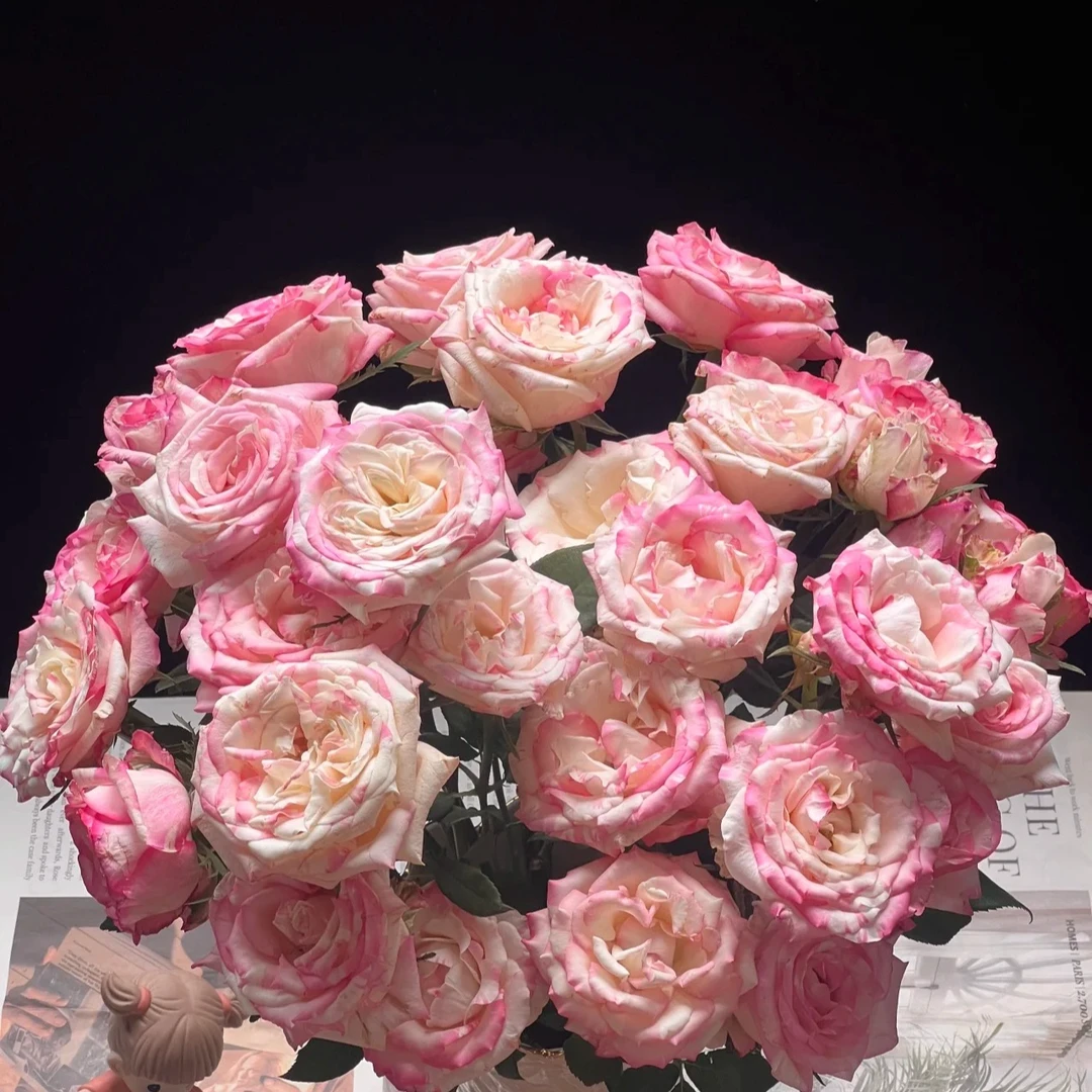 【彩花驿站】多头霓裳玫瑰（直播间展示为准/10％损耗无售后介意勿拍）