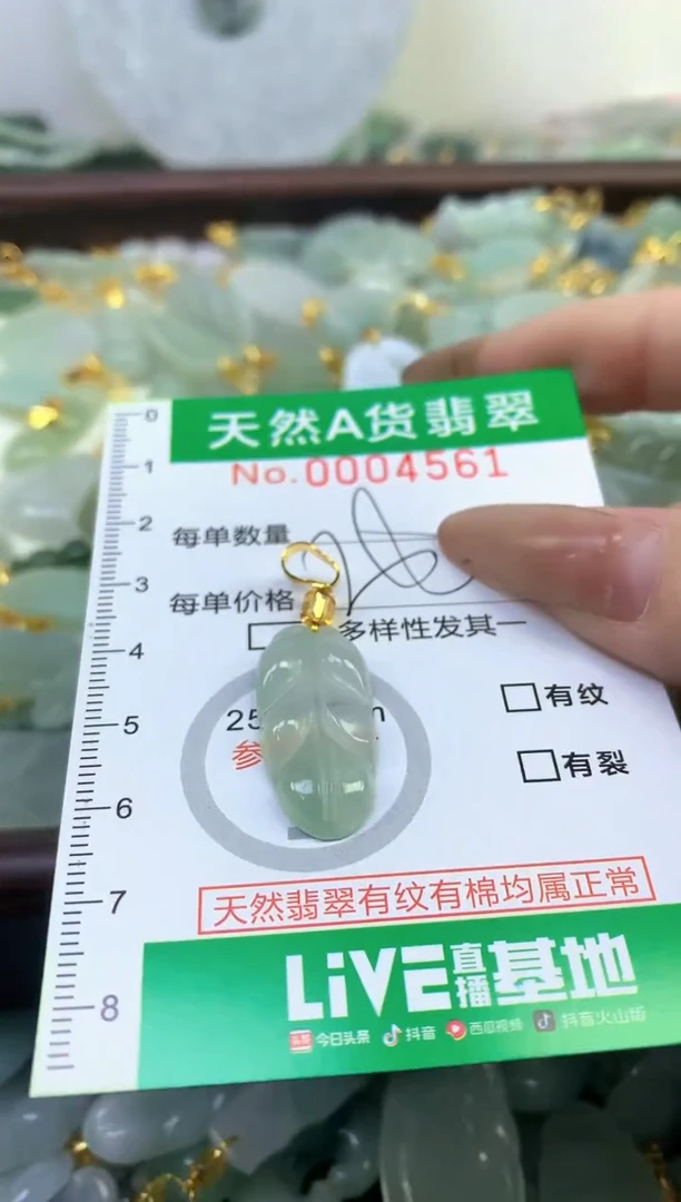 颈饰未镶嵌翡翠纯天然缅甸A货翡翠