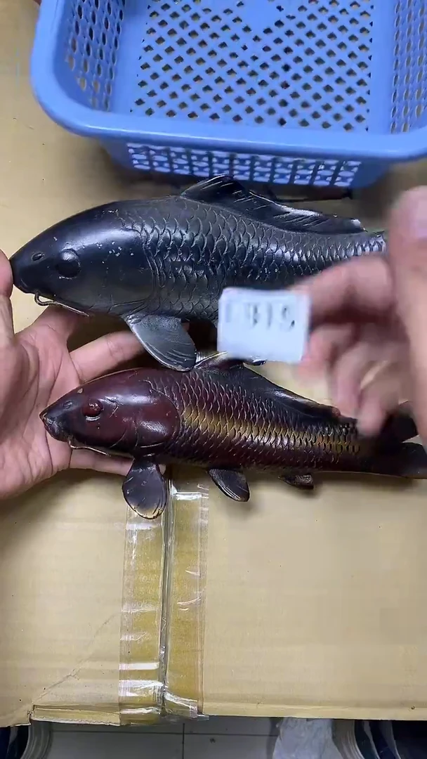 瓷片L315默认微瑕，谨慎参拍 铁鱼一对
