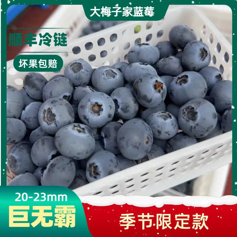 [蓝莓巨无霸]20-23mm新鲜采摘 应季高山蓝莓  酸甜爆汁100g/盒