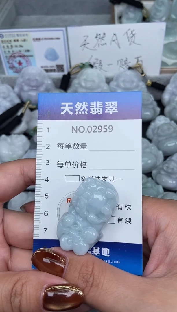 颈饰未镶嵌翡翠纯天然A货翡翠2959