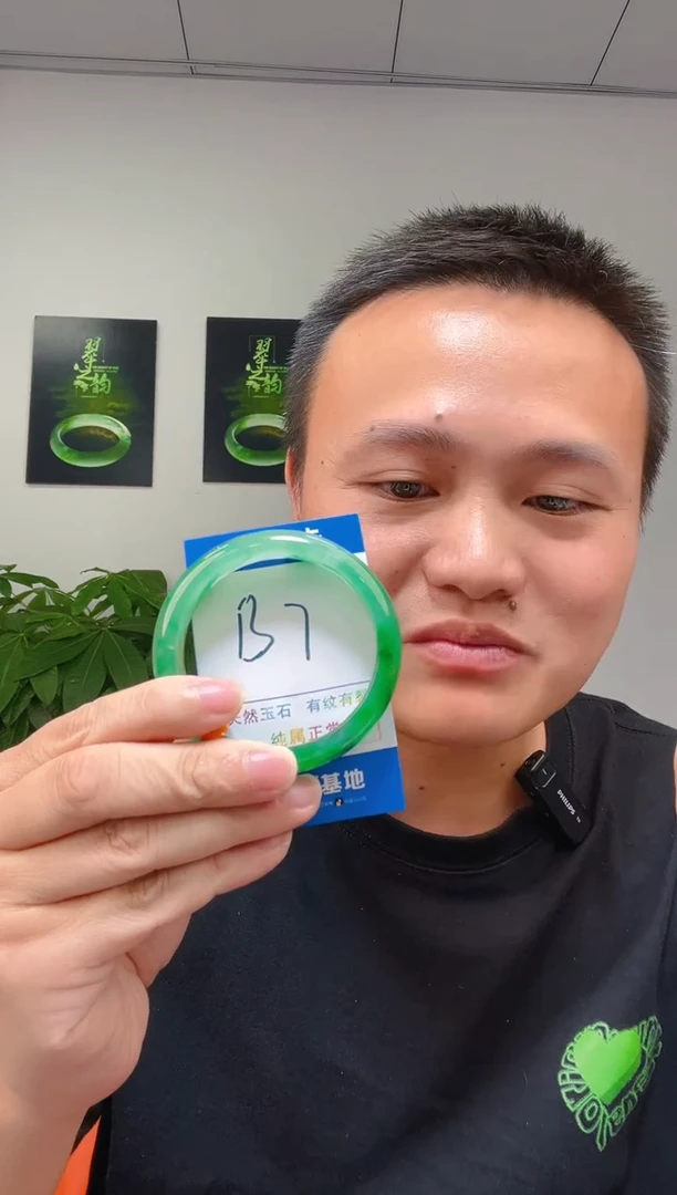 石英质玉（非洲翠）手镯未镶嵌1