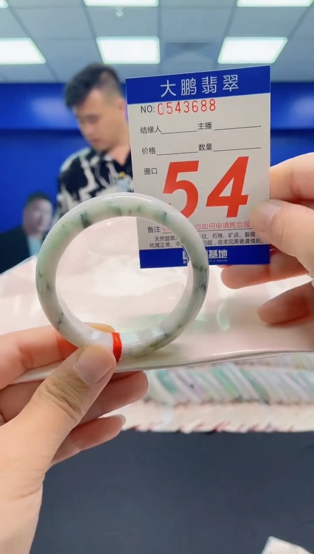 未镶嵌手镯翡翠AAAAAAAAA