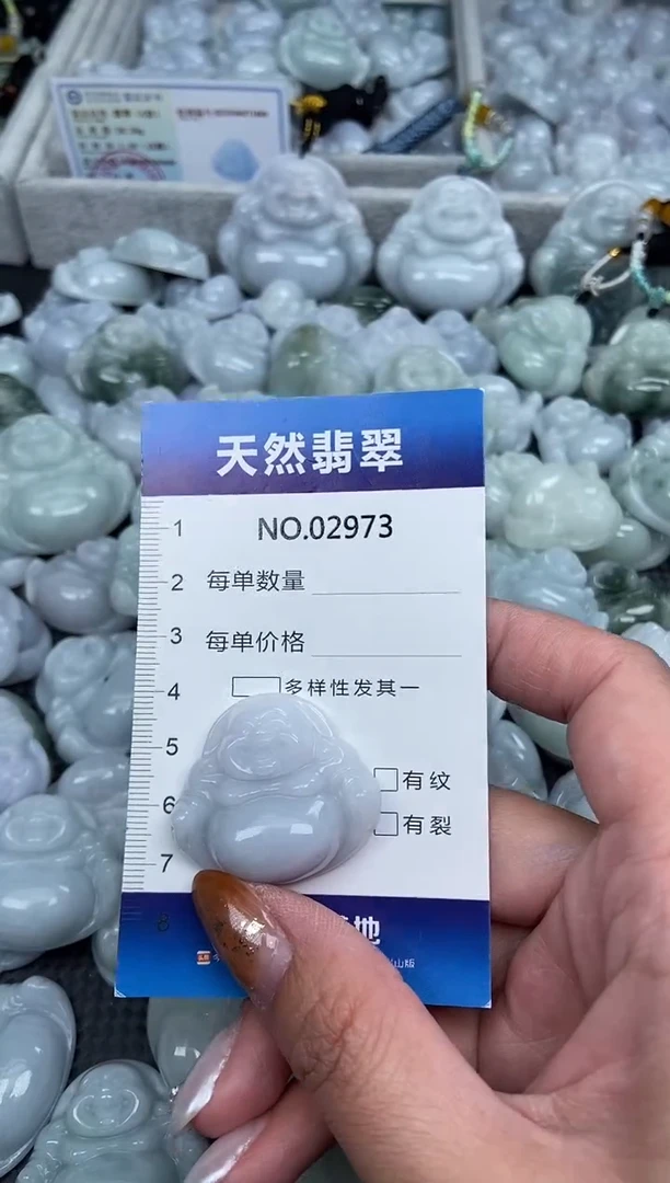 颈饰未镶嵌翡翠纯天然A货翡翠2973
