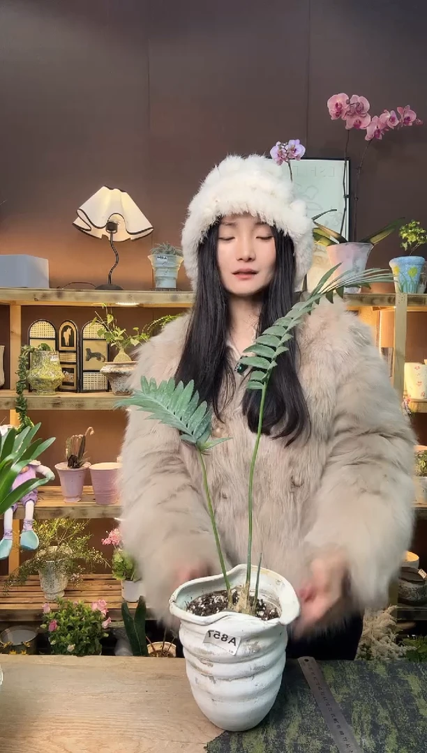 以实际为准857巨型双子铁加盆一套