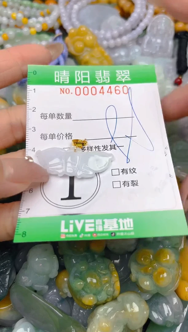 颈饰未镶嵌翡翠闪购0004460