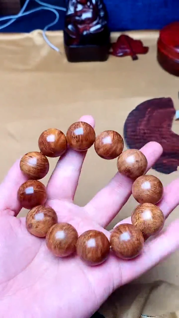 柏木（崖柏）2.0崖柏