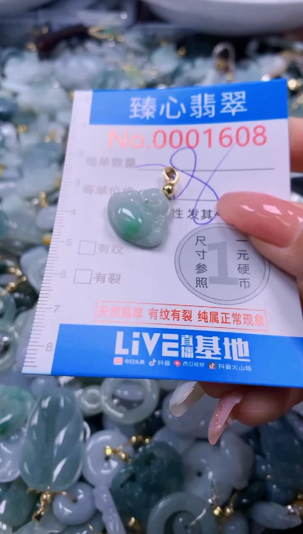 翡翠未镶嵌颈饰1608