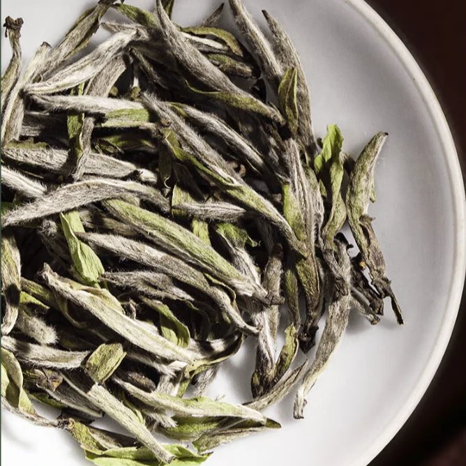 高山白茶白毫银针明前春茶新茶银针正宗醇厚甘甜罐装茶送礼茶