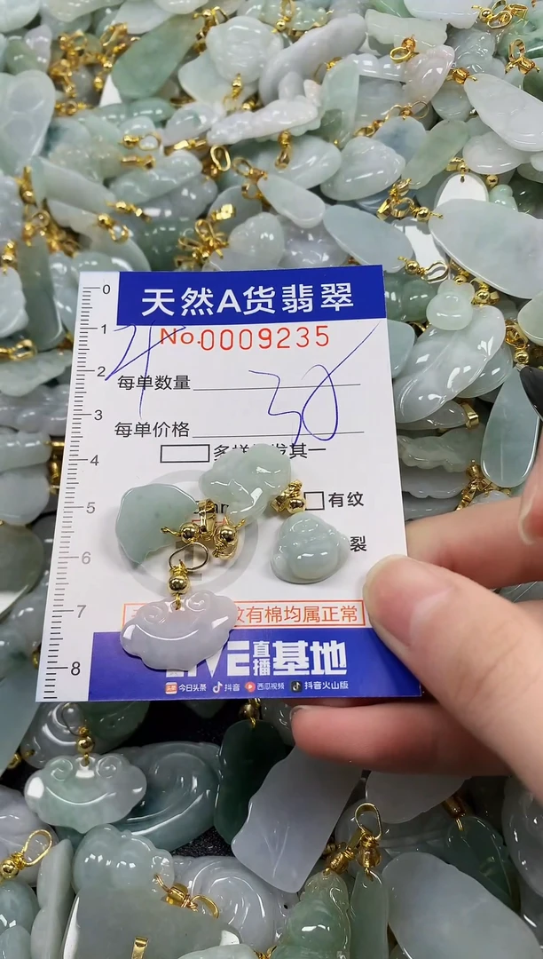 颈饰未镶嵌翡翠纯天然a货翡翠