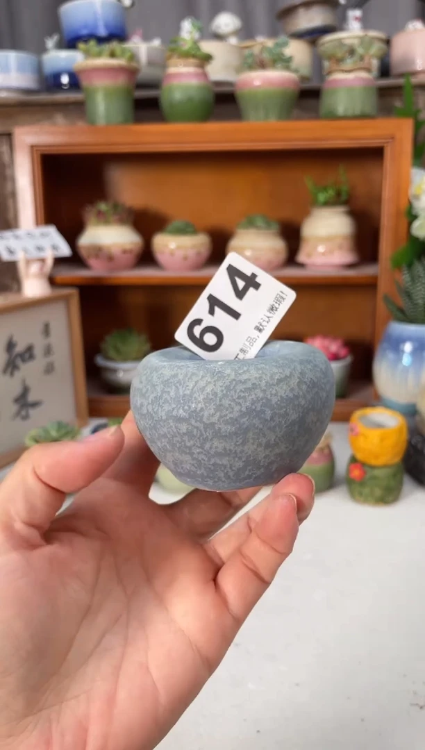 瓷片614知木小芳花盆直播编号