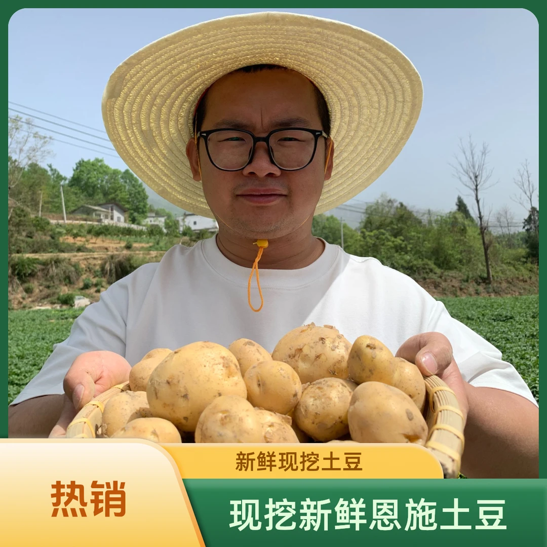 卖爆（现挖现发）新鲜富硒恩施网红恩施正宗恩施黄心小土豆