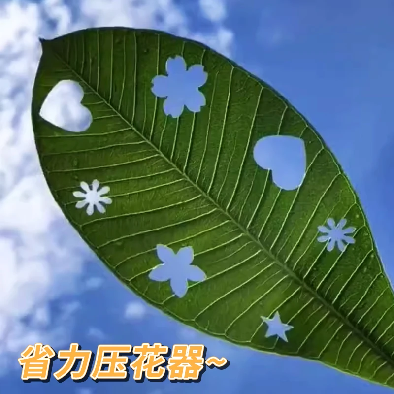枫叶压花器雪花爱心星星打孔器儿童手工树叶打孔套装模具手帐专用