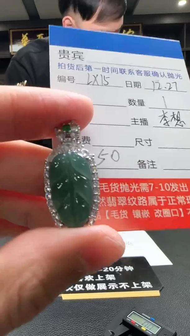颈饰未镶嵌翡翠LX15翡翠吊坠-多样性发其一