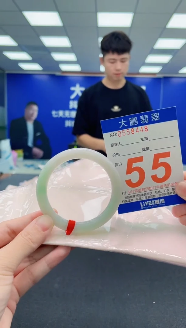 未镶嵌手镯翡翠AAAAAAAAA
