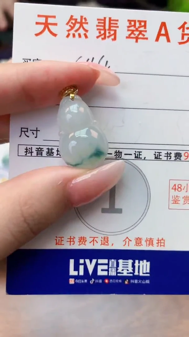 颈饰未镶嵌翡翠天然A货翡翠挂件