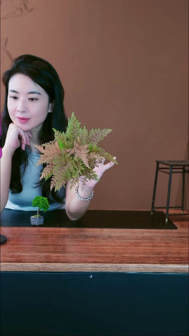 无花朵་**。山野草盆景盆景盆景