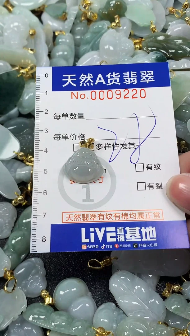 颈饰未镶嵌翡翠纯天然a货翡翠