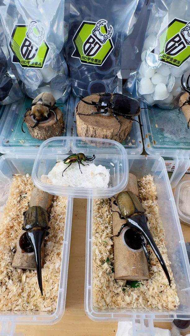 63x41 超红 无忧罐。