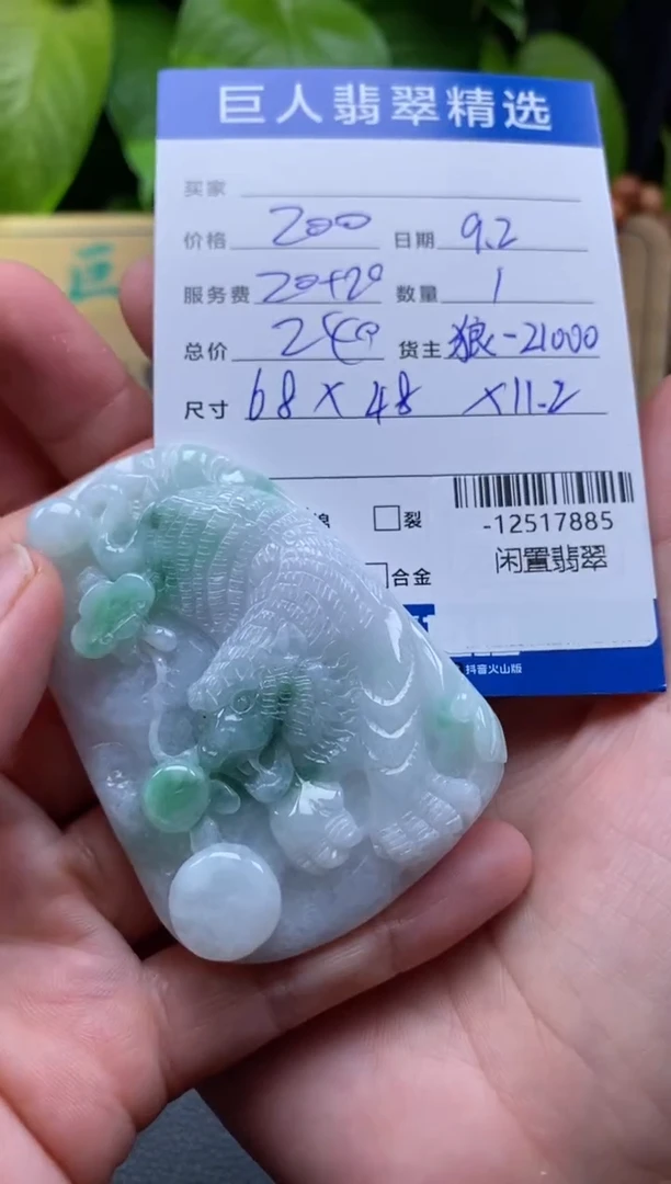 颈饰未镶嵌翡翠多人-12517885