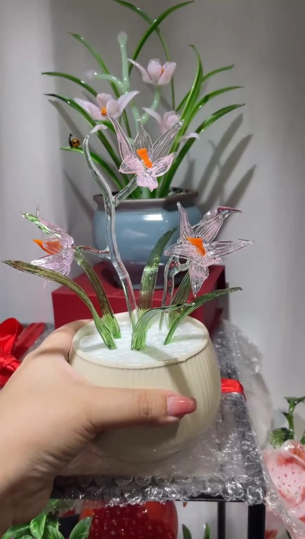 琉璃55兰花