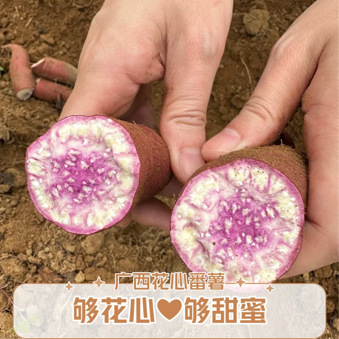 广西农家花心番薯黄心薯中度糖分 【阿月家自种番薯无激素农药】