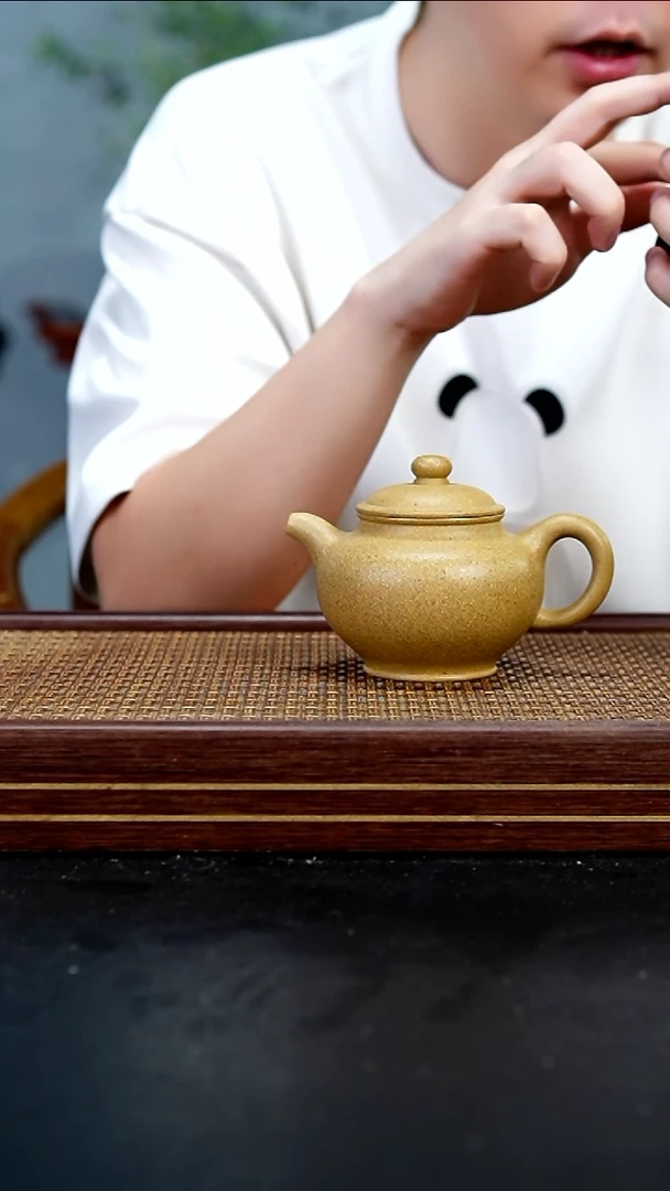 茶壶紫砂XJ青段大掇只