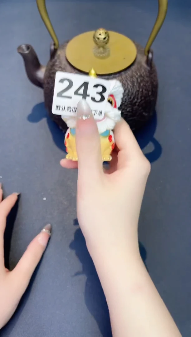 瓷片铁壶243