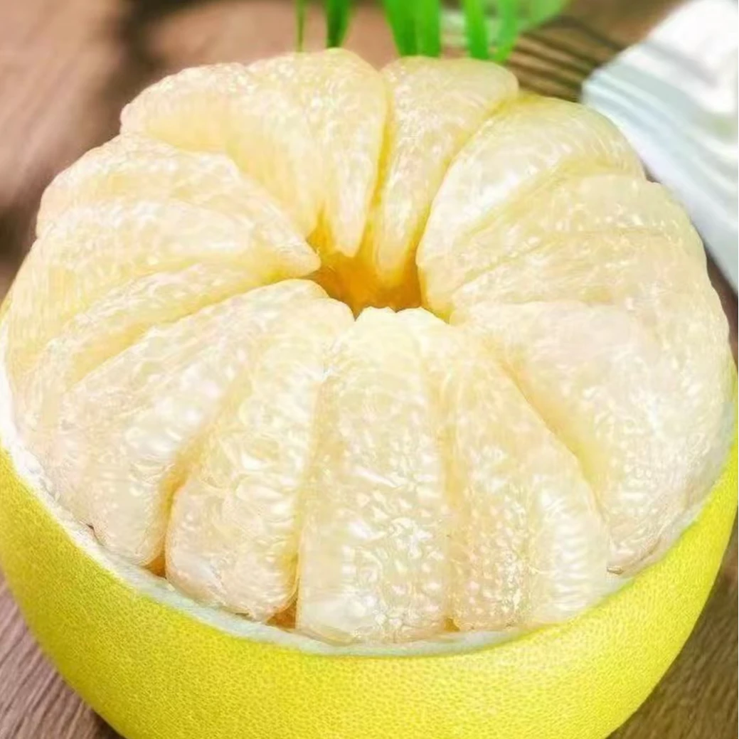 老树白心蜜柚鲜甜爆汁新鲜采摘当季水果产地直发