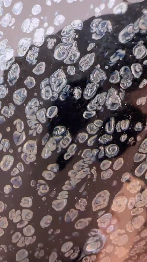 茶盏473建盏建盏建盏