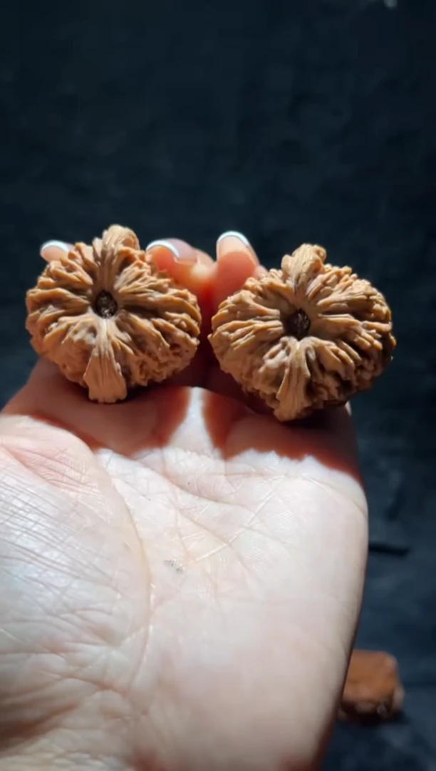 吊坠文玩核桃E**j南将