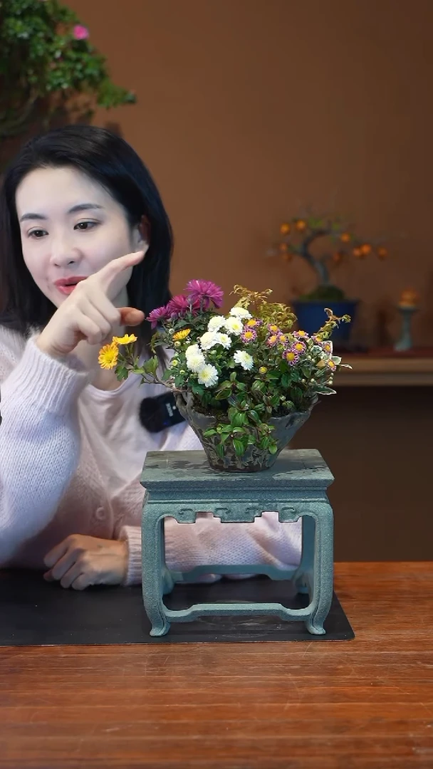 全部花朵山野草盆景盆景盆景