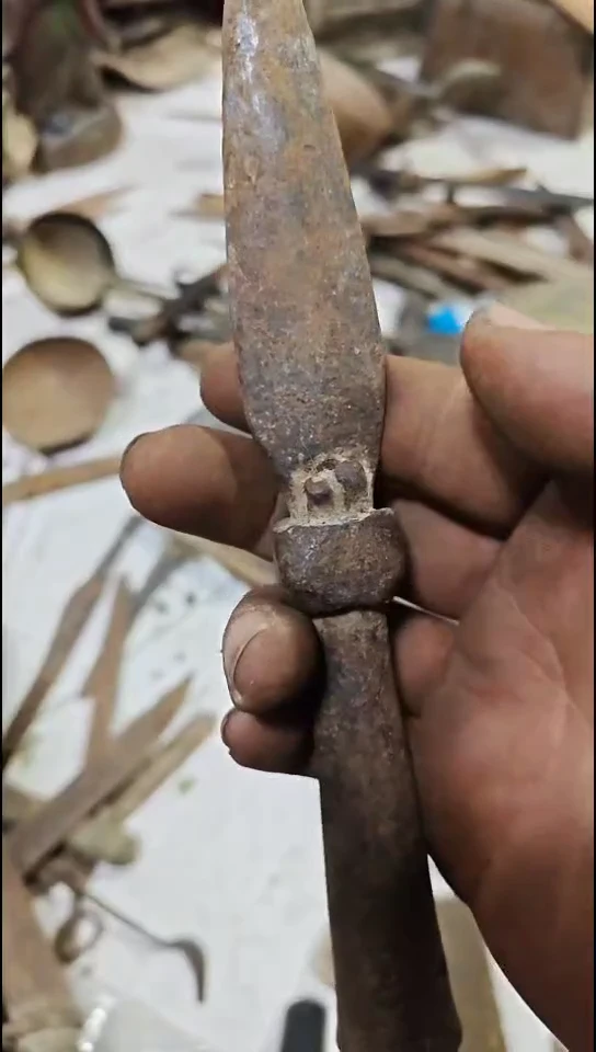 知**乐木头8888888888