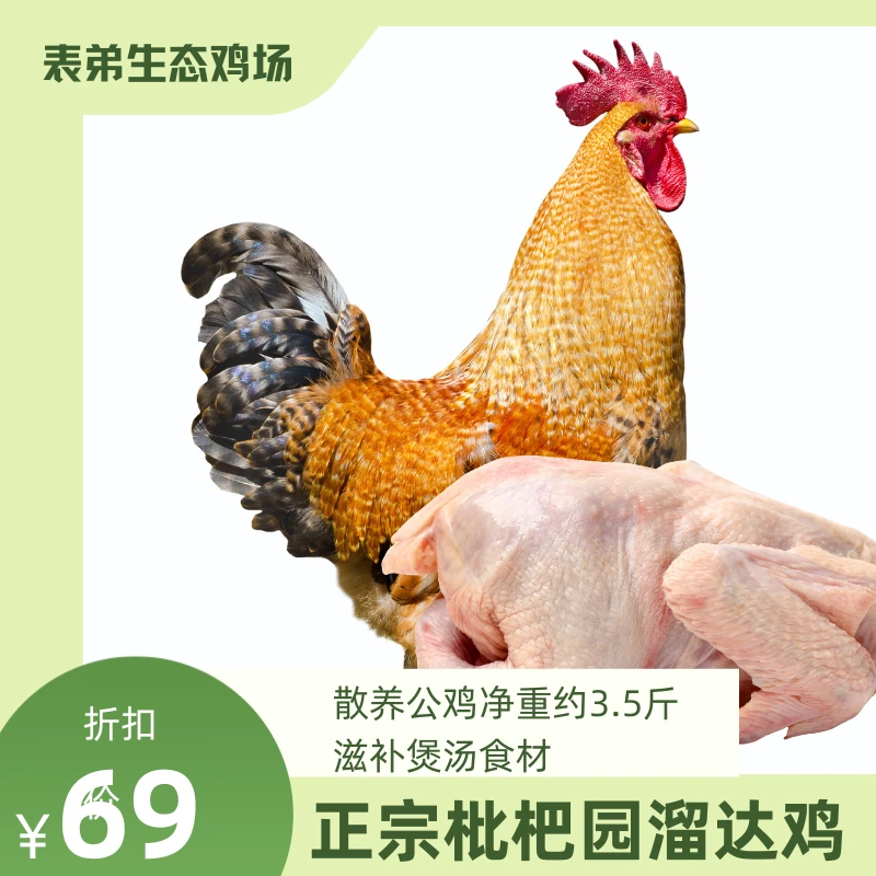 【正宗溜达鸡】365天自然生长散养公鸡净重约3.5斤滋补煲汤食材鸡肉同城送鸡肉同城配