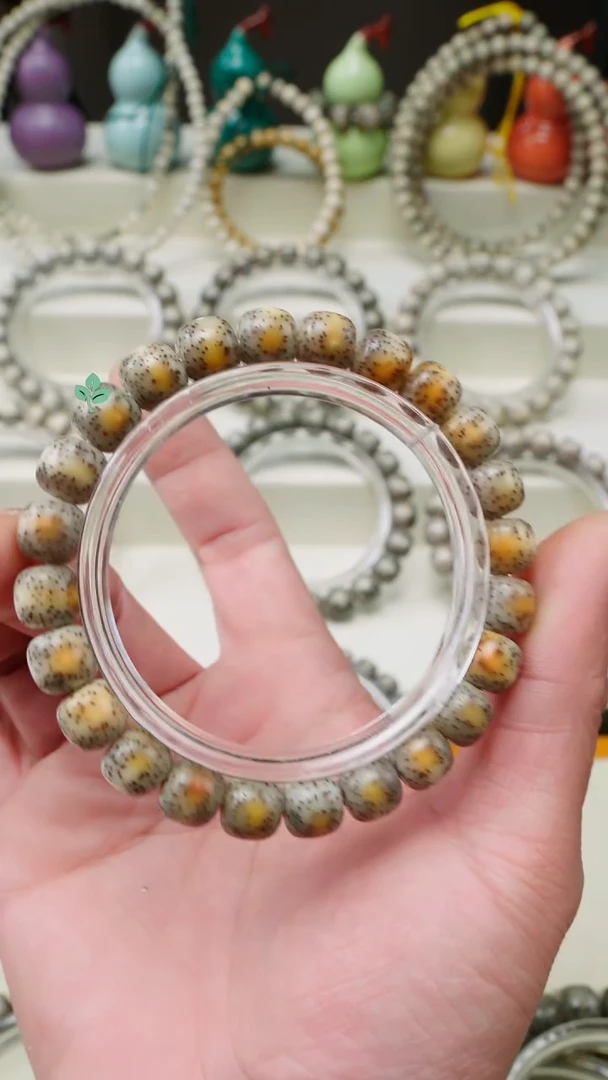 手串星月菩提乐****)海南星月菩提一物一图