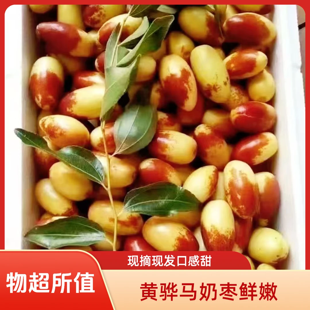 【顺丰包邮】正宗黄骅马奶枣非冬枣大枣自家果园现摘现发孕妇皆宜
