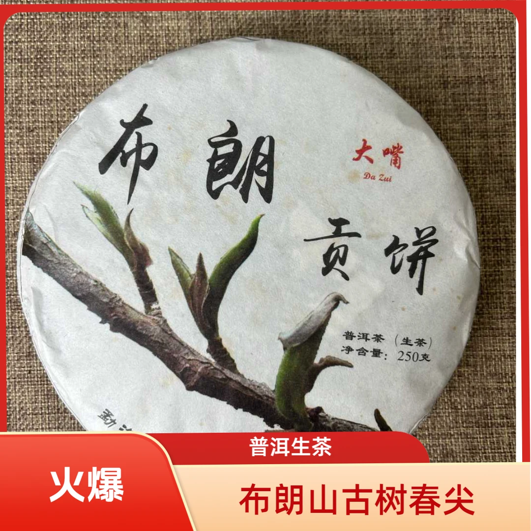2016布朗贡饼*春尖古树普洱生茶[布朗山小微 帕点中期茶]