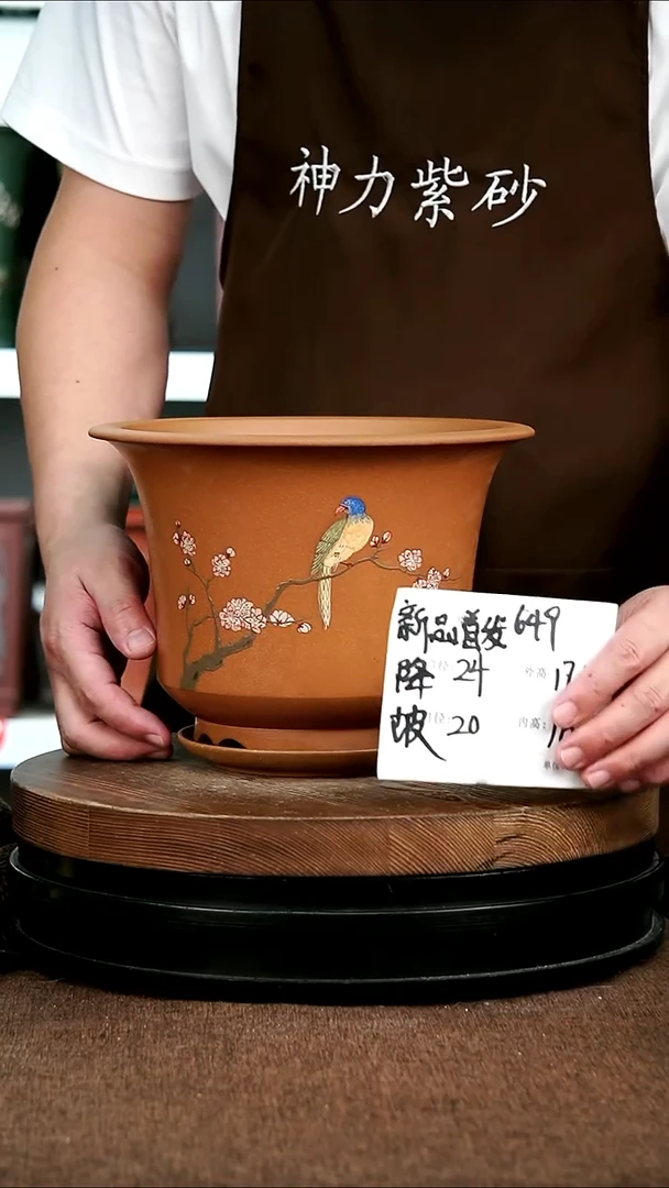 紫砂花盆花卉园艺649+Z