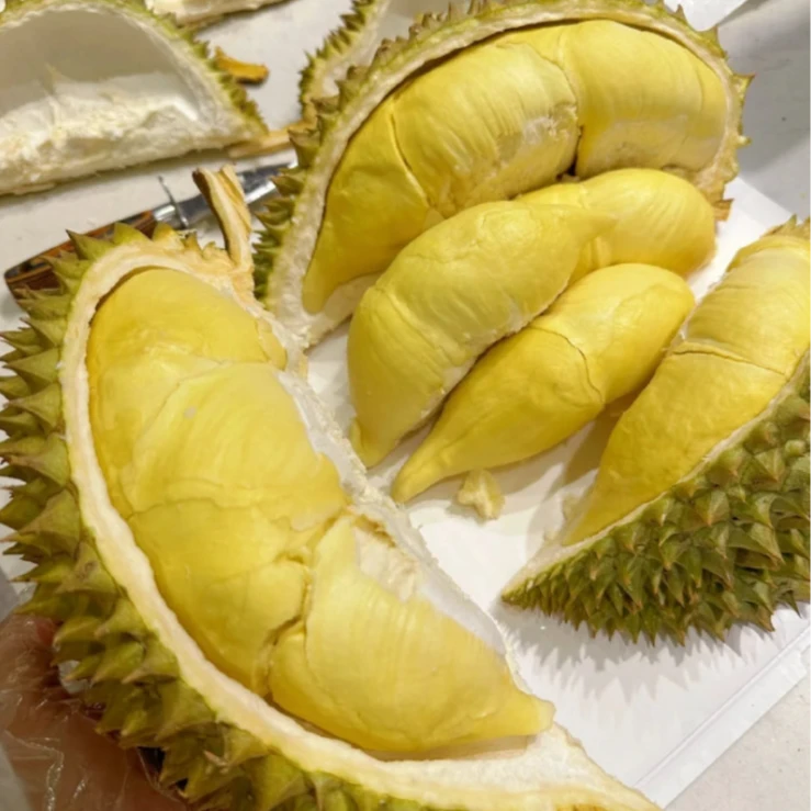 【陈灵岳甄选】“金猴”泰国鲜果金枕榴莲一颗（包4房） 3斤以上