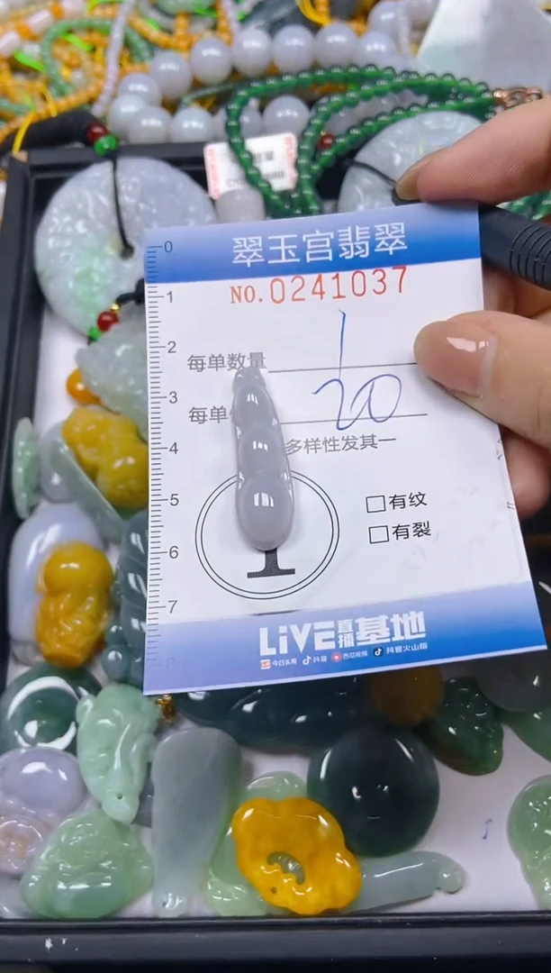 颈饰未镶嵌翡翠闪购C0241037