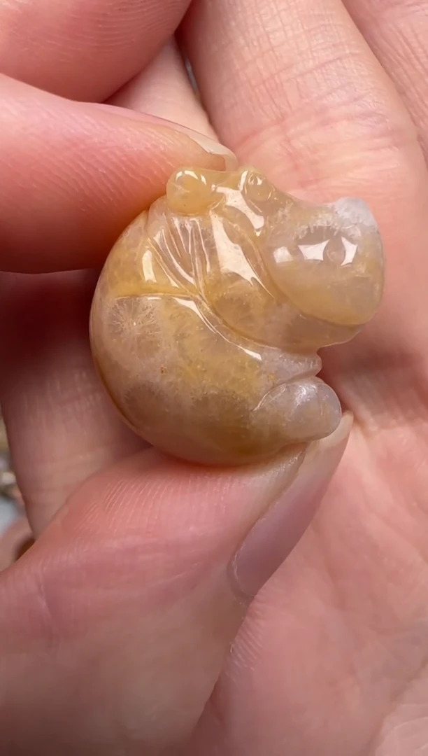 硅化珊瑚（珊瑚玉）未镶嵌颈饰404