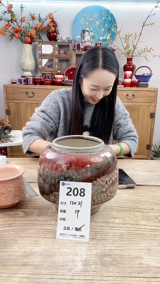 【闪购商品】红陶208