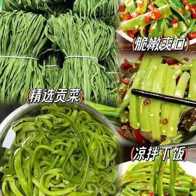 丽丽酱坊--手工贡【菜】