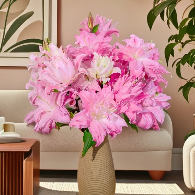 【植迷专属】双钻 粉色稀有重瓣香水百合花 浓香鲜花水养插花